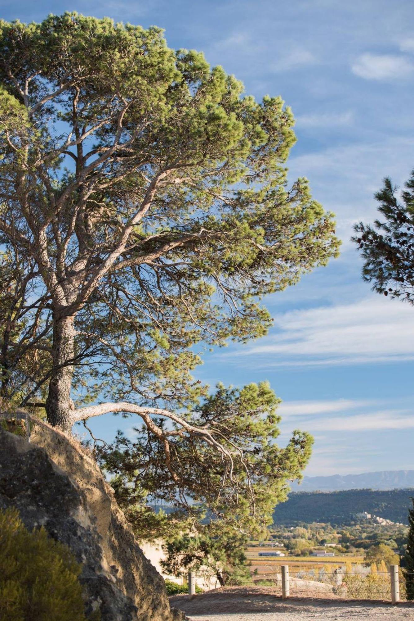 Charmante Maison De Village Au Coeur Du Luberon Кюкюрон Екстер'єр фото